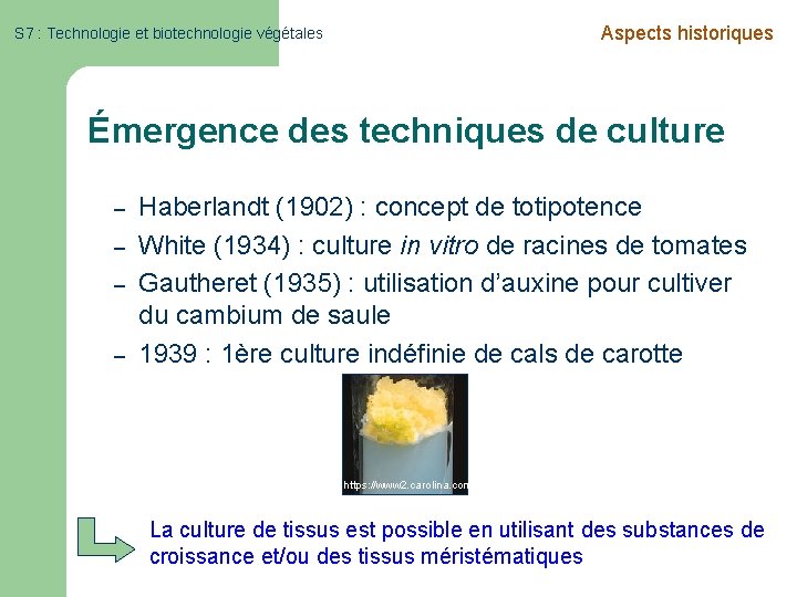 Aspects historiques S 7 : Technologie et biotechnologie végétales Émergence des techniques de culture