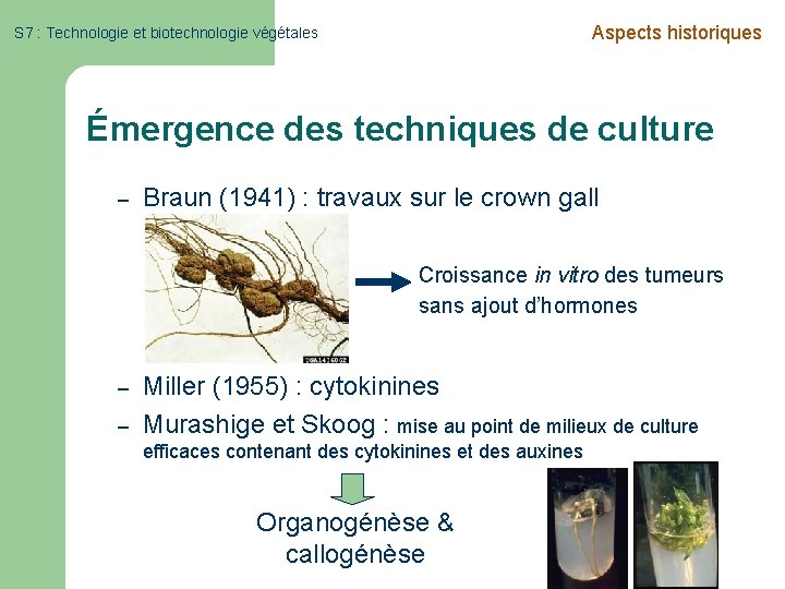 Aspects historiques S 7 : Technologie et biotechnologie végétales Émergence des techniques de culture