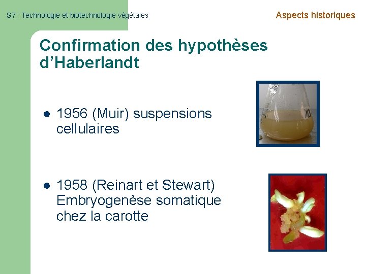 S 7 : Technologie et biotechnologie végétales Confirmation des hypothèses d’Haberlandt l 1956 (Muir)