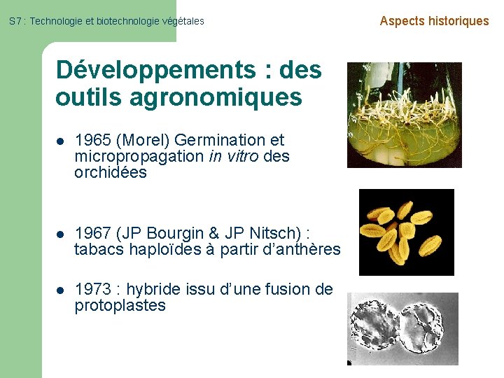 S 7 : Technologie et biotechnologie végétales Développements : des outils agronomiques l 1965