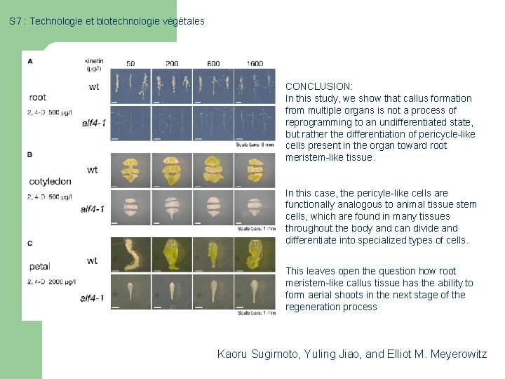 S 7 : Technologie et biotechnologie végétales CONCLUSION: In this study, we show that