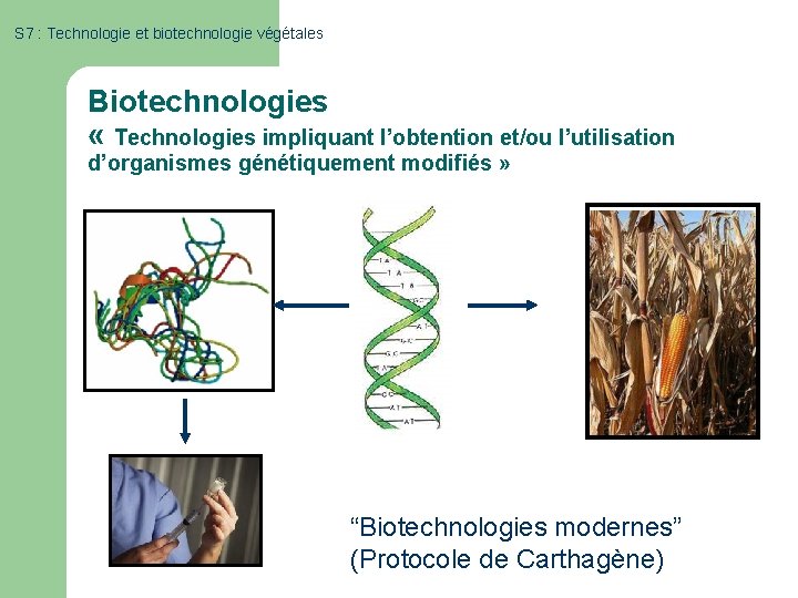 S 7 : Technologie et biotechnologie végétales Biotechnologies « Technologies impliquant l’obtention et/ou l’utilisation