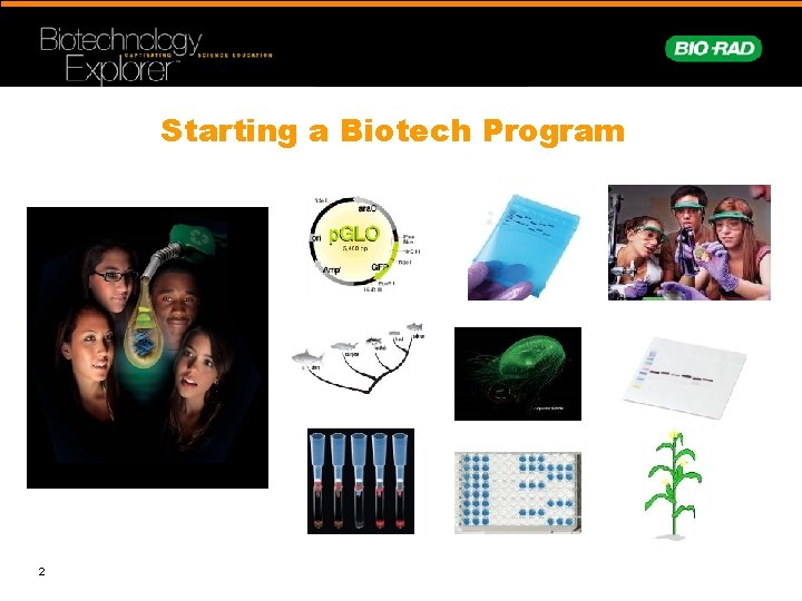 Starting a Biotech Program 2 