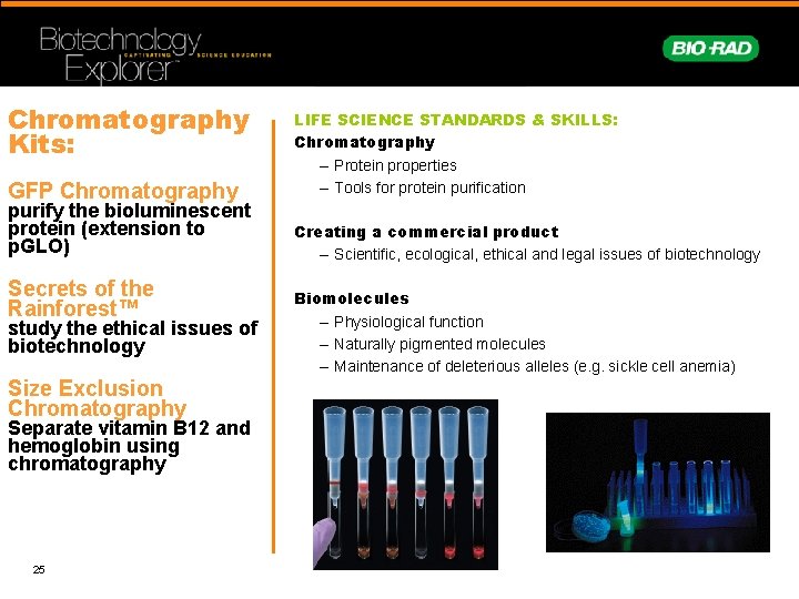 Chromatography Kits: GFP Chromatography purify the bioluminescent protein (extension to p. GLO) Secrets of