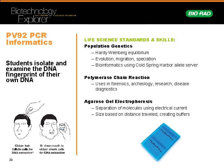 PV 92 PCR Informatics Students isolate and examine the DNA fingerprint of their own