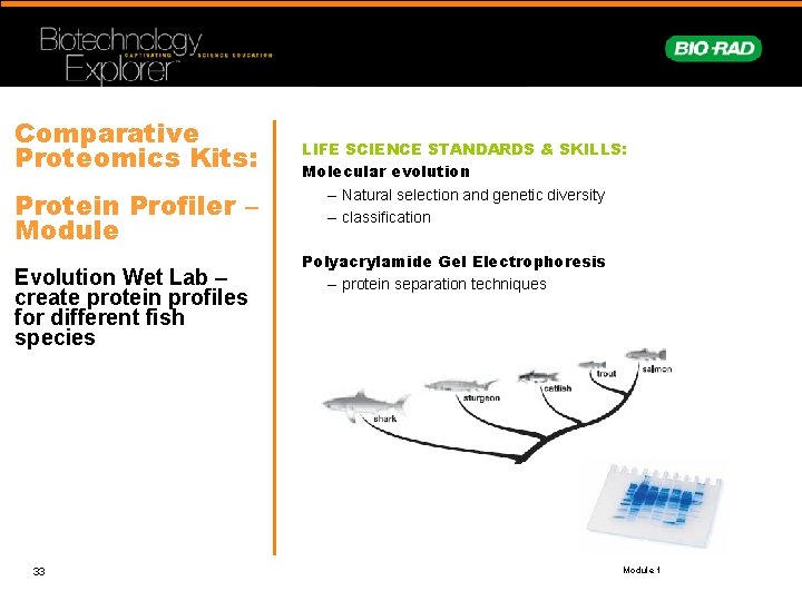 Comparative Proteomics Kits: Protein Profiler – Module Evolution Wet Lab – create protein profiles