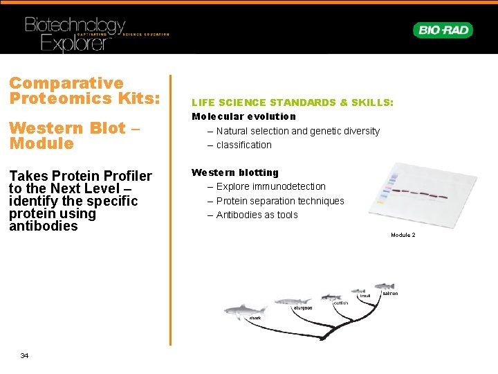 Comparative Proteomics Kits: Western Blot – Module Takes Protein Profiler to the Next Level