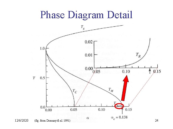 Phase Diagram Detail 12/6/2020 (fig. from Domany & al. 1991) 24 