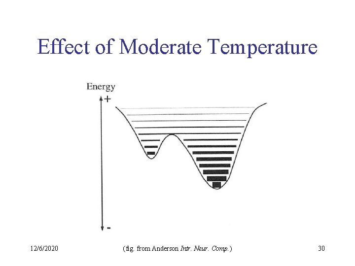 Effect of Moderate Temperature 12/6/2020 (fig. from Anderson Intr. Neur. Comp. ) 30 