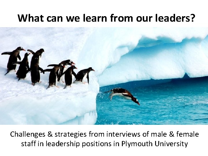 What can we learn from our leaders? Challenges & strategies from interviews of male