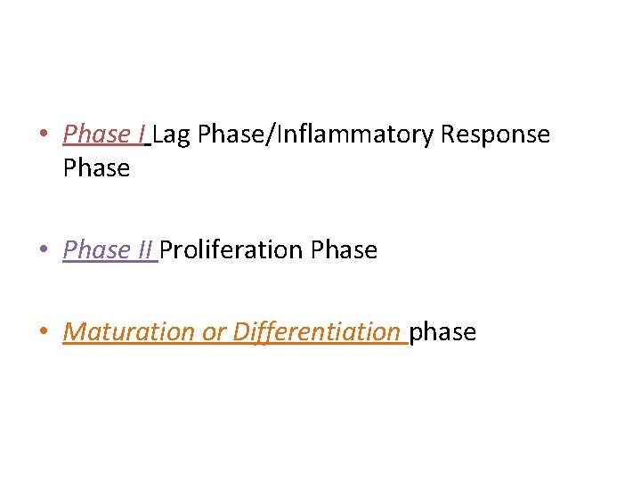  • Phase I Lag Phase/Inflammatory Response Phase • Phase II Proliferation Phase •
