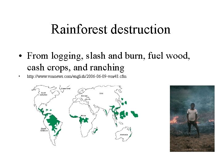 Rainforest destruction • From logging, slash and burn, fuel wood, cash crops, and ranching