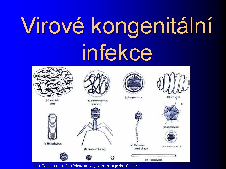 Virové kongenitální infekce http: //vietsciences. free. fr/khaocuu/nguyenlandung/virus 01. htm 