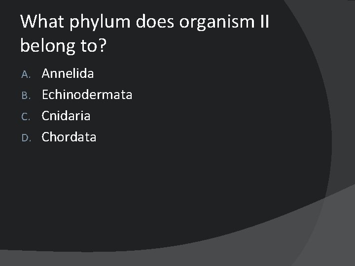 What phylum does organism II belong to? Annelida B. Echinodermata C. Cnidaria D. Chordata