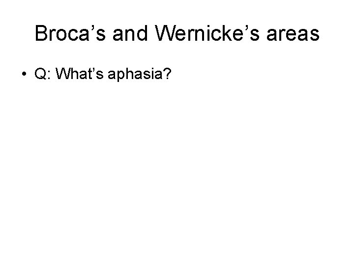 Broca’s and Wernicke’s areas • Q: What’s aphasia? 