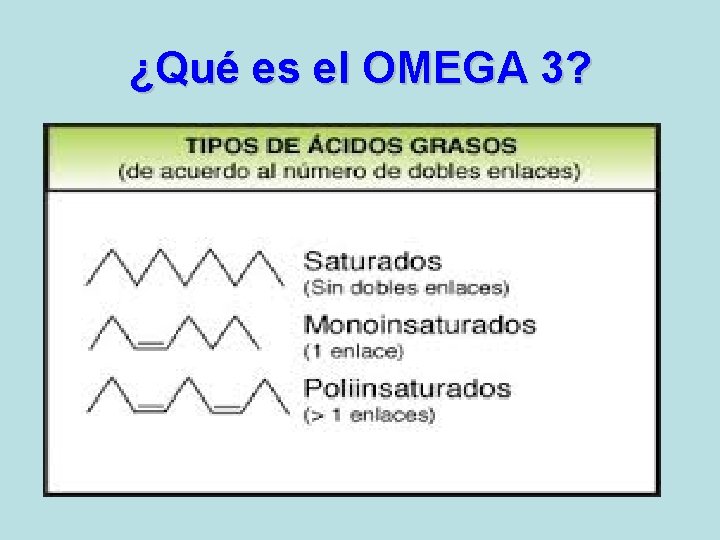 ¿Qué es el OMEGA 3? 