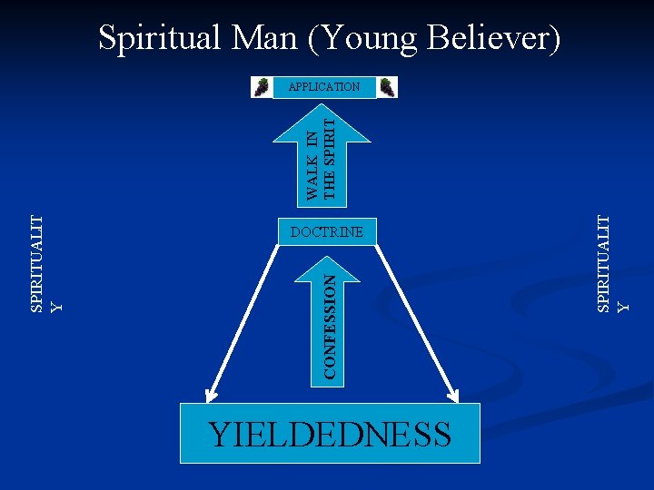 Spiritual Man (Young Believer) YIELDEDNESS SPIRITUALIT Y DOCTRINE CONFESSION SPIRITUALIT Y WALK IN THE