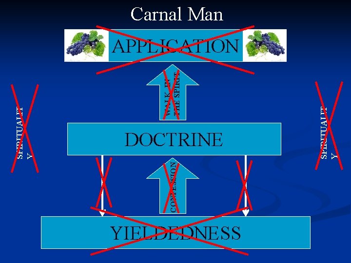 CONFESSION DOCTRINE YIELDEDNESS SPIRITUALIT Y WALK IN THE SPIRITUALIT Y Carnal Man APPLICATION 