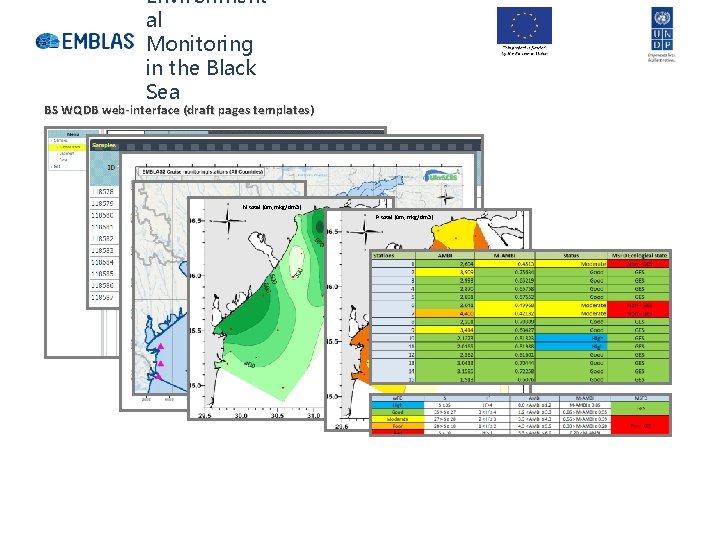 Environment al Monitoring in the Black Sea BS WQDB web-interface (draft pages templates) N