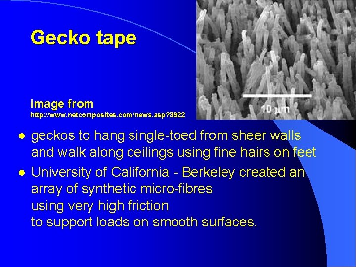 Gecko tape image from http: //www. netcomposites. com/news. asp? 3922 l l geckos to