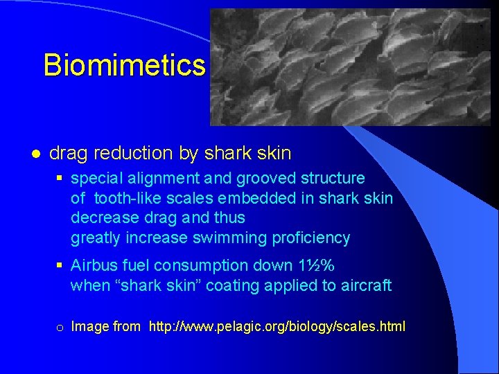 Biomimetics l drag reduction by shark skin § special alignment and grooved structure of