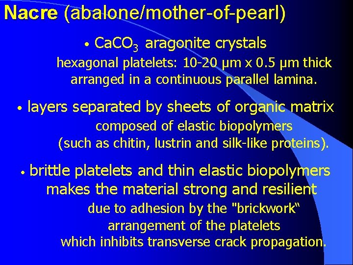 Nacre (abalone/mother-of-pearl) • Ca. CO 3 aragonite crystals hexagonal platelets: 10 -20 µm x