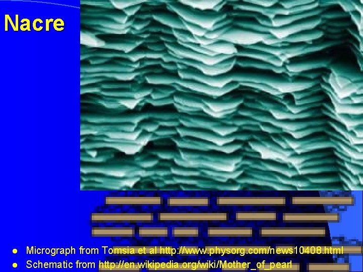 Nacre l l Micrograph from Tomsia et al http: //www. physorg. com/news 10408. html