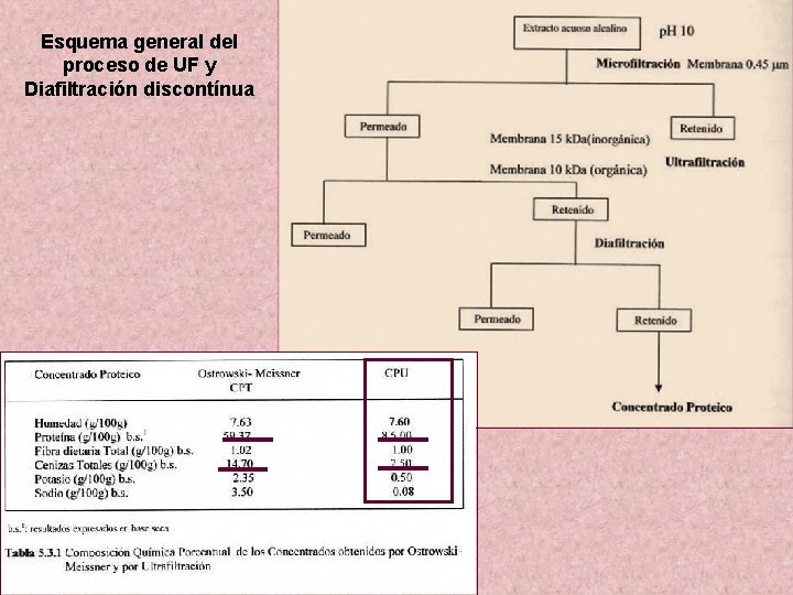 Esquema general del proceso de UF y Diafiltración discontínua 