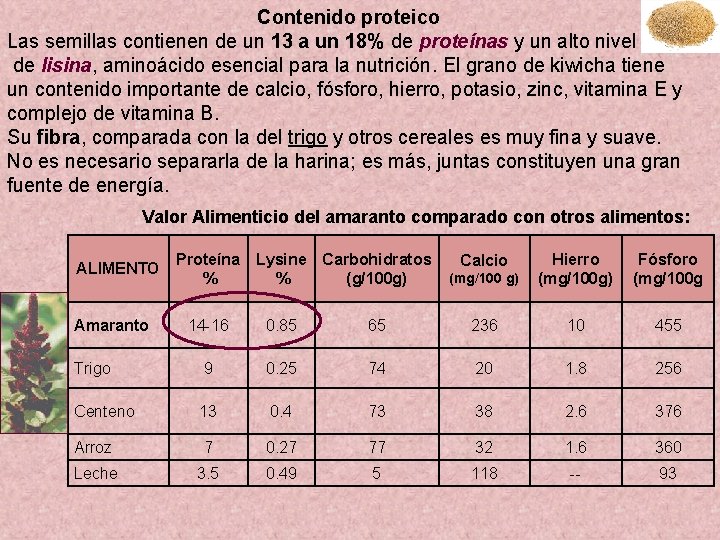 Contenido proteico Las semillas contienen de un 13 a un 18% de proteínas y