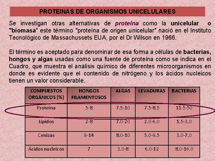 PROTEINAS DE ORGANISMOS UNICELULARES Se investigan otras alternativas de proteína como la unicelular o