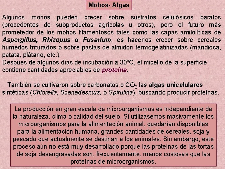 Mohos- Algas Algunos mohos pueden crecer sobre sustratos celulósicos baratos (procedentes de subproductos agrícolas