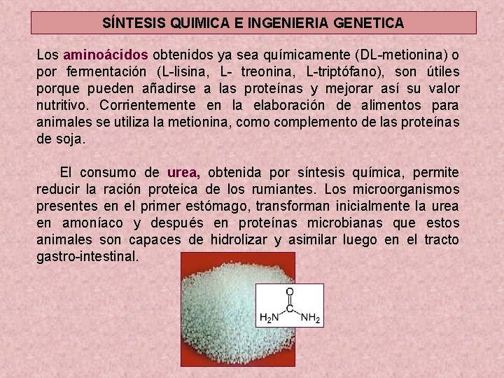 SÍNTESIS QUIMICA E INGENIERIA GENETICA Los aminoácidos obtenidos ya sea químicamente (DL-metionina) o por