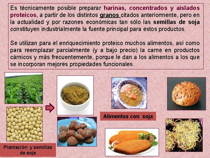 Es técnicamente posible preparar harinas, concentrados y aislados proteicos, a partir de los distintos