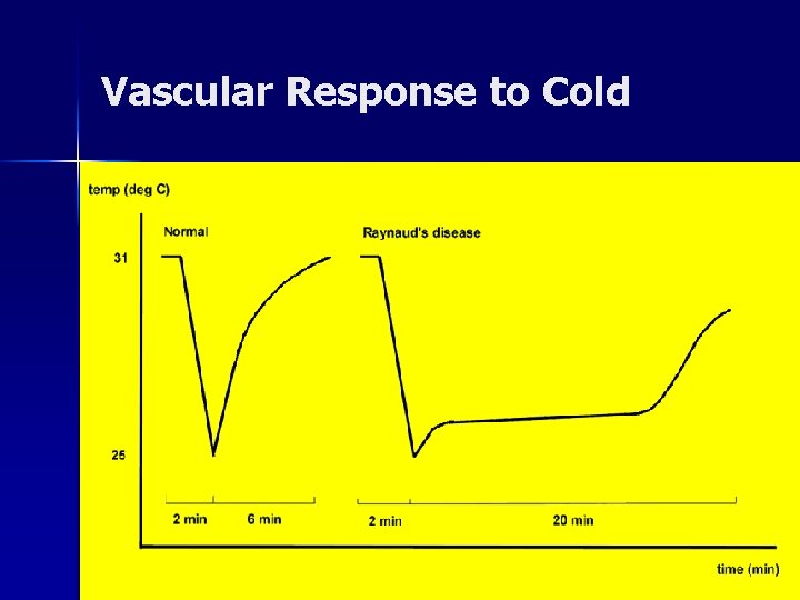 Vascular Response to Cold tttttttttt ttt 