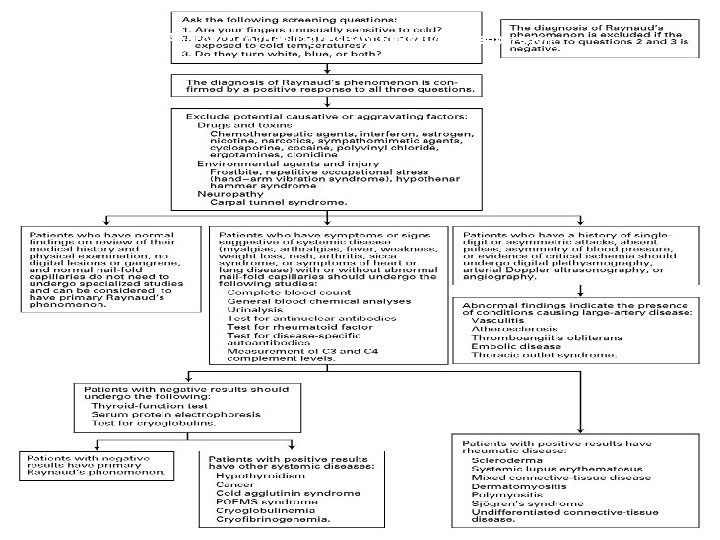 Approach to the Diagnosis of Raynaud's Phenomenon 