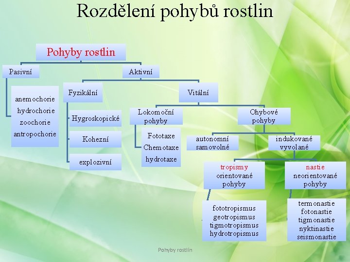 Rozdělení pohybů rostlin Pohyby rostlin Pasivní anemochorie hydrochorie zoochorie antropochorie Aktivní Fyzikální Hygroskopické Kohezní Rozdělení pohybů rostlin Pohyby rostlin Pasivní anemochorie hydrochorie zoochorie antropochorie Aktivní Fyzikální Hygroskopické Kohezní