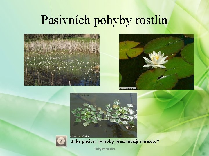 Pasivních pohyby rostlin Jaké pasivní pohyby představují obrázky? Pohyby rostlin Pasivních pohyby rostlin Jaké pasivní pohyby představují obrázky? Pohyby rostlin