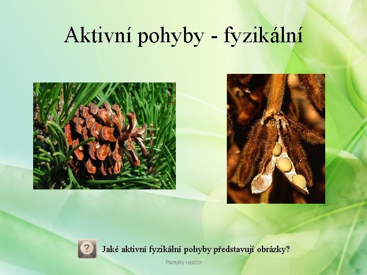 Aktivní pohyby - fyzikální Jaké aktivní fyzikální pohyby představují obrázky? Pohyby rostlin Aktivní pohyby - fyzikální Jaké aktivní fyzikální pohyby představují obrázky? Pohyby rostlin