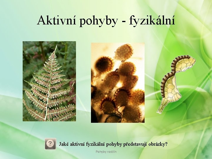 Aktivní pohyby - fyzikální Jaké aktivní fyzikální pohyby představují obrázky? Pohyby rostlin Aktivní pohyby - fyzikální Jaké aktivní fyzikální pohyby představují obrázky? Pohyby rostlin