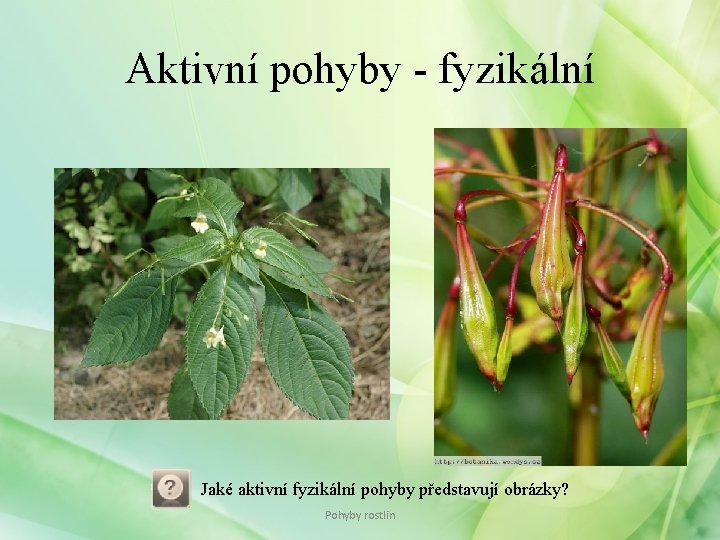 Aktivní pohyby - fyzikální Jaké aktivní fyzikální pohyby představují obrázky? Pohyby rostlin Aktivní pohyby - fyzikální Jaké aktivní fyzikální pohyby představují obrázky? Pohyby rostlin