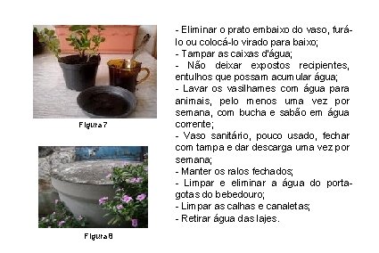 Figura 7 Figura 8 - Eliminar o prato embaixo do vaso, furálo ou colocá-lo