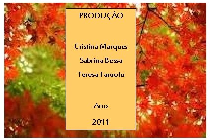 PRODUÇÃO Cristina Marques Sabrina Bessa Teresa Faruolo Ano 2011 
