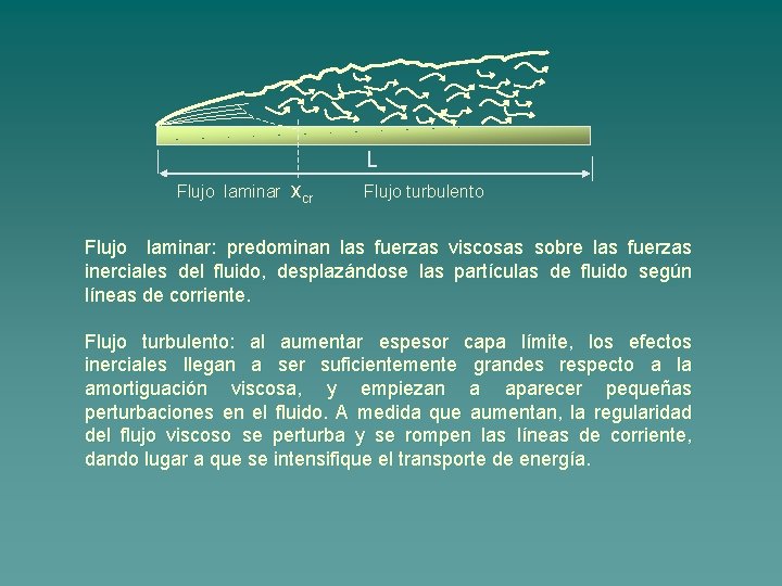 L Flujo laminar xcr Flujo turbulento Flujo laminar: predominan las fuerzas viscosas sobre las
