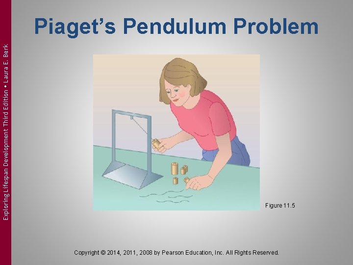 Exploring Lifespan Development Third Edition Laura E. Berk Piaget’s Pendulum Problem Figure 11. 5