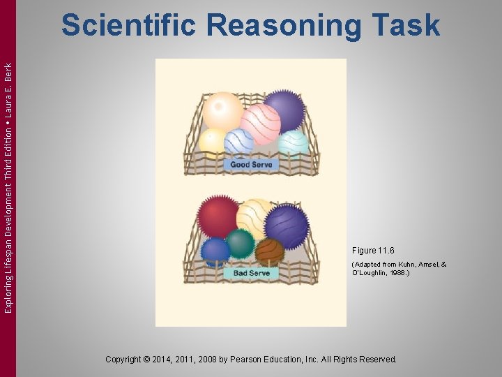 Exploring Lifespan Development Third Edition Laura E. Berk Scientific Reasoning Task Figure 11. 6