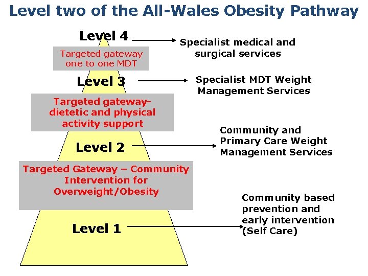 Level two of the All-Wales Obesity Pathway Level 4 Targeted gateway one to one