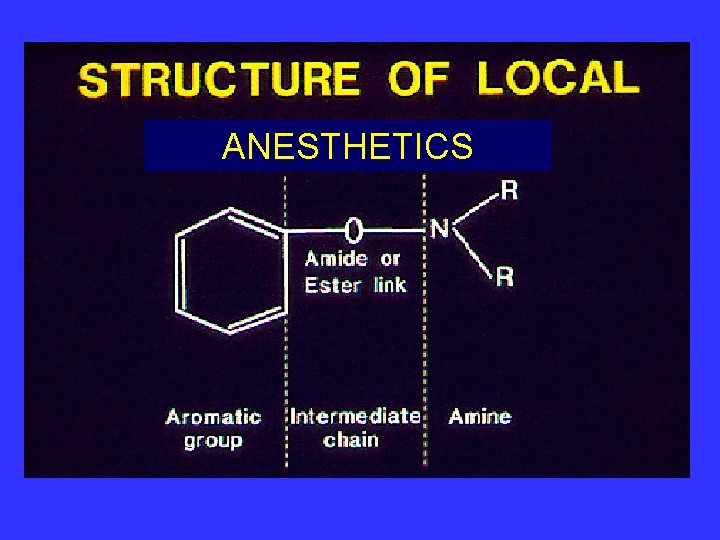 ANESTHETICS 