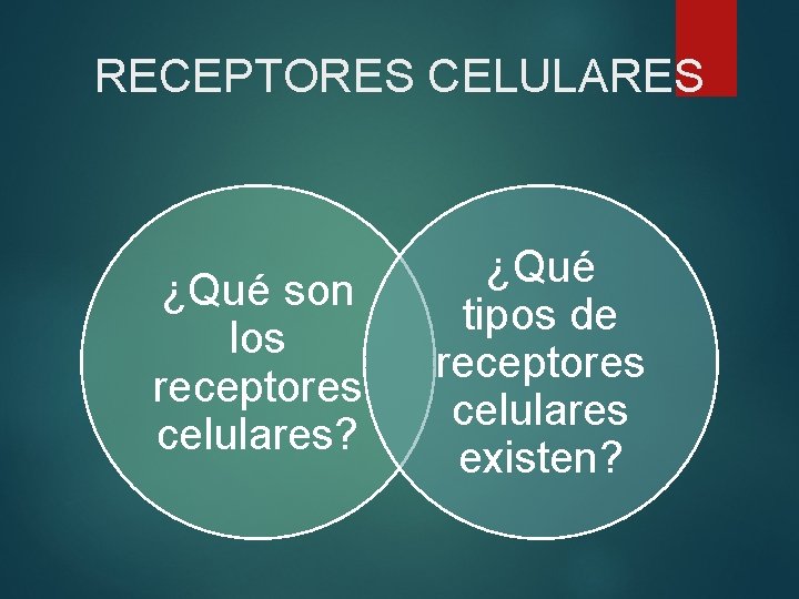 RECEPTORES CELULARES ¿Qué son los receptores celulares? ¿Qué tipos de receptores celulares existen? 