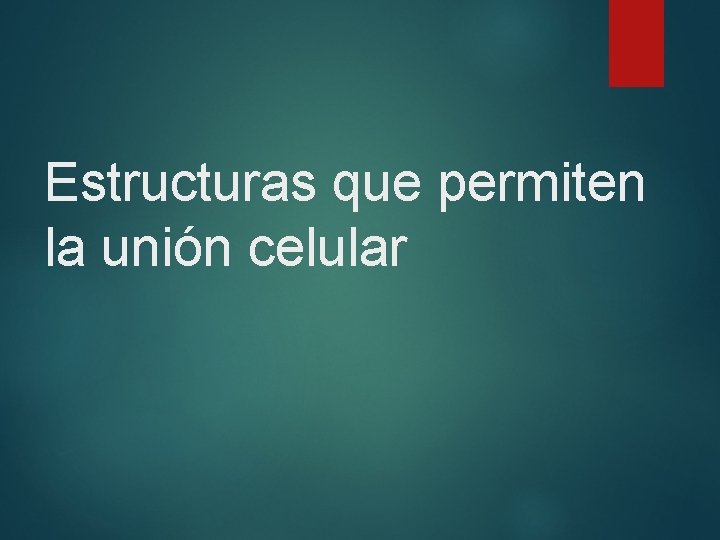 Estructuras que permiten la unión celular 