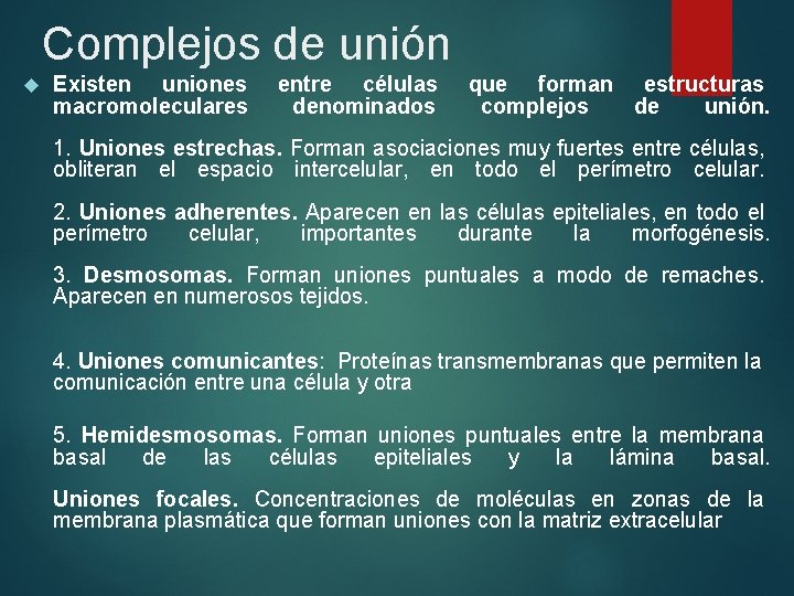 Complejos de unión Existen uniones macromoleculares entre células denominados que forman estructuras complejos de